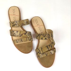 Sole Society Simonaa snake print flat sandal